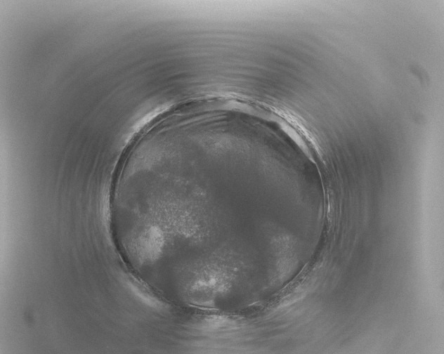 X0000116790390200912241206