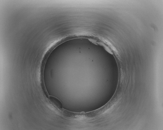 X0000116790391200912241206