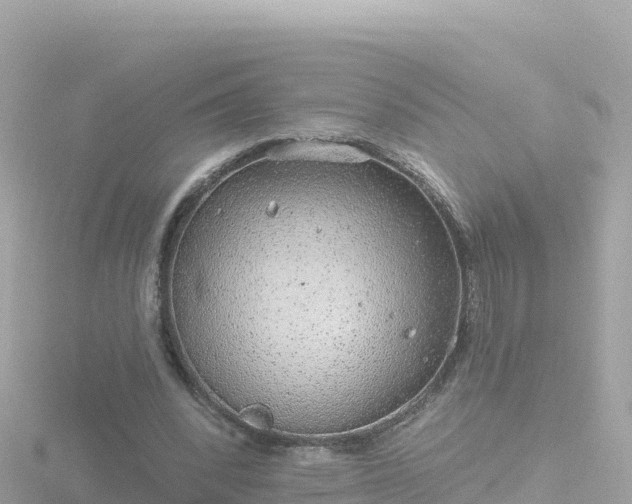 X0000116790392200912241206