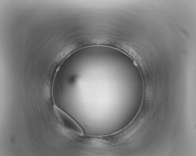 X0000116790393200912241206