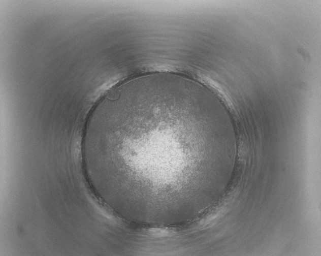 X0000116790394200912241206