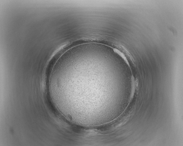 X0000116790396200912241206