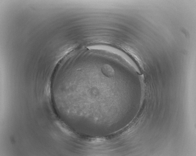 X0000116790398200912241206