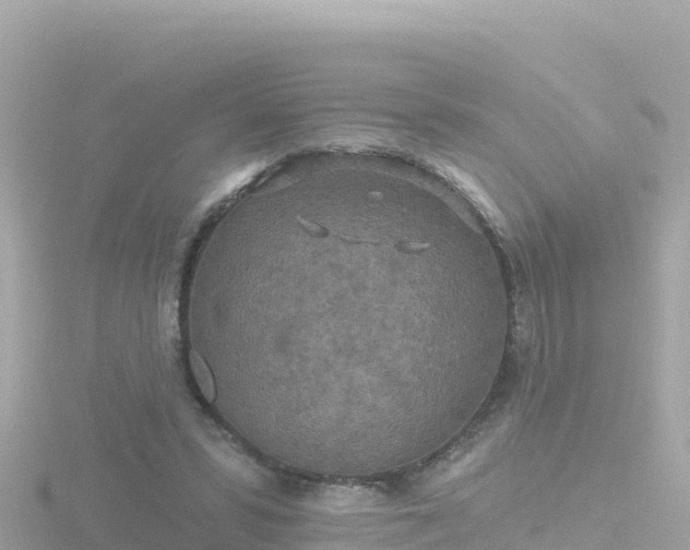 X0000116790399200912241206