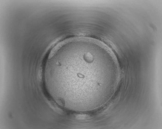 X0000116790400200912241206