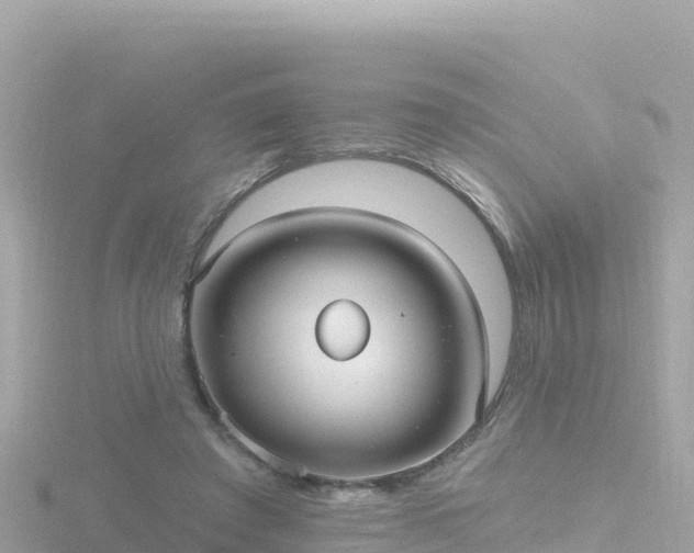 X0000116790401200912241206