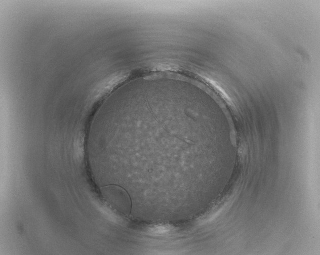 X0000116790402200912241206