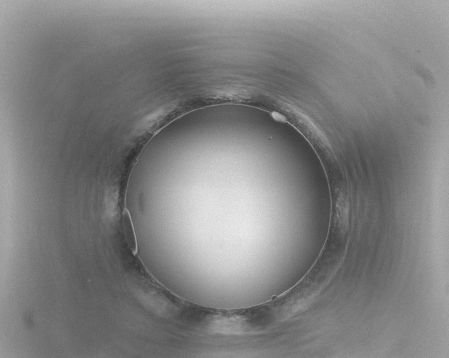 X0000116790403200912241206