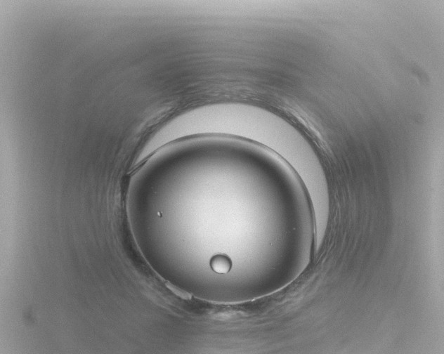 X0000116790407200912241206