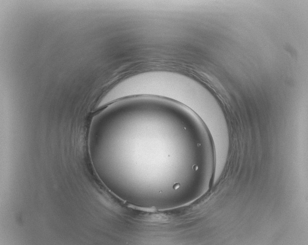 X0000116790409200912241206