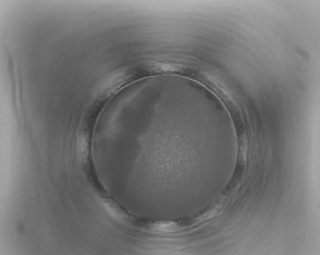 X0000116790410200912241206