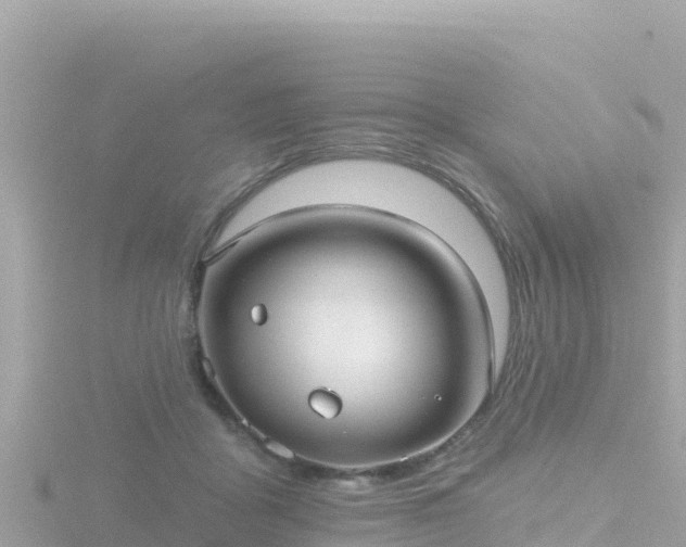 X0000116790411200912241206