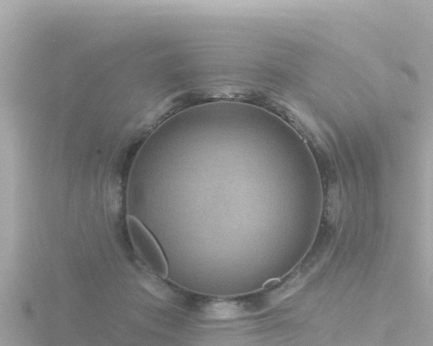 X0000116790413200912241206