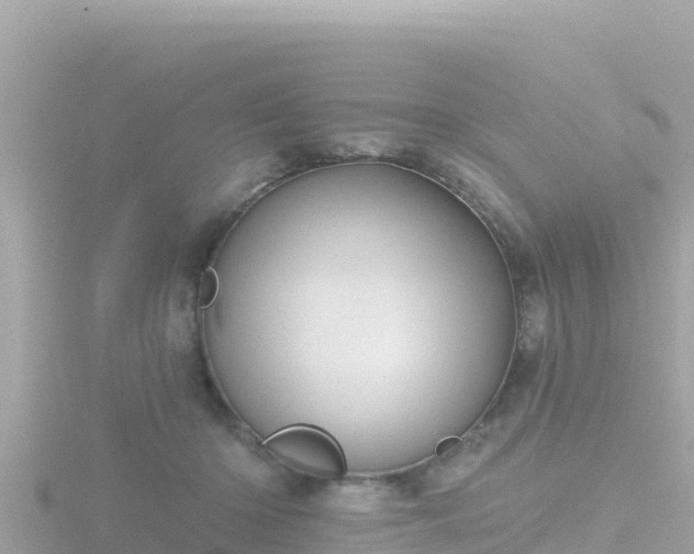 X0000116790414200912241206