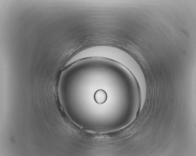 X0000116790415200912241206