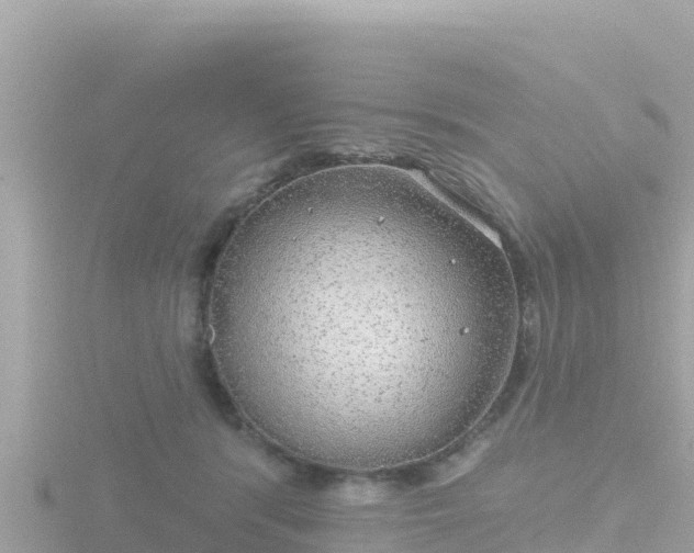 X0000116790416200912241206