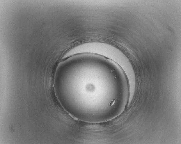 X0000116790417200912241206