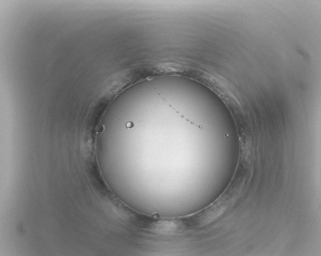 X0000116790418200912241206