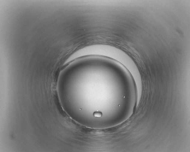 X0000116790419200912241206