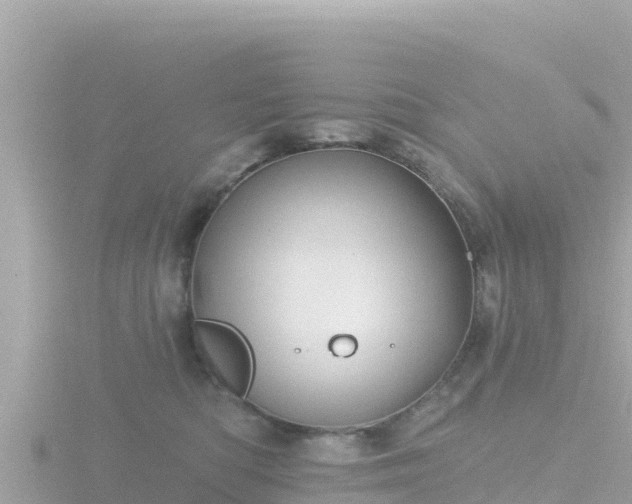 X0000116790422200912241206