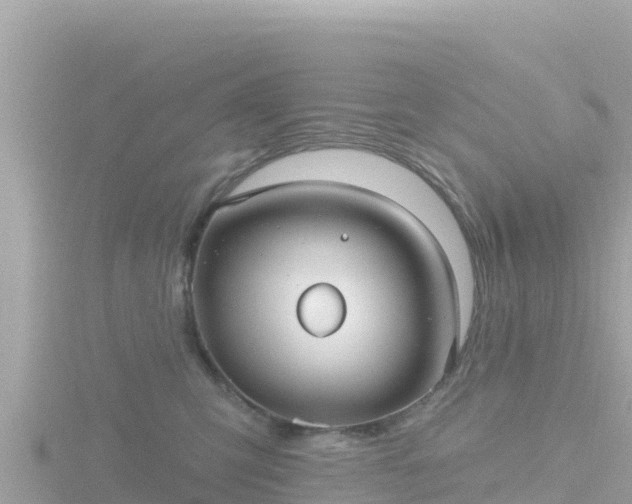 X0000116790423200912241206