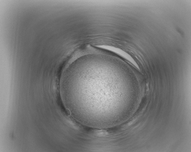 X0000116790424200912241206