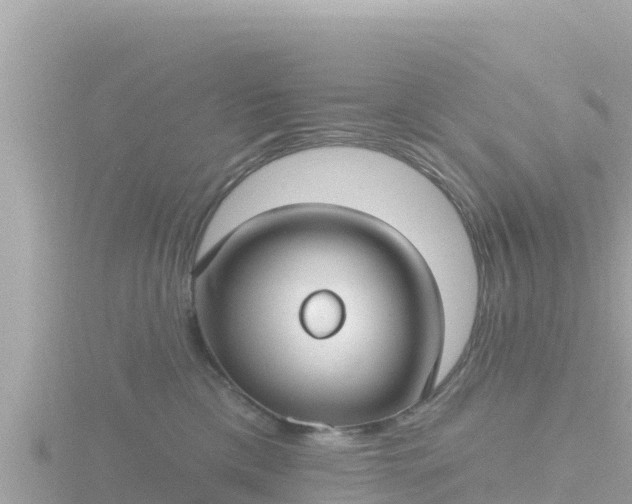 X0000116790425200912241206