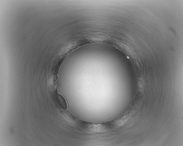 X0000116790428200912241205