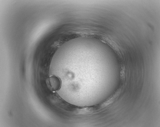 X0000116790430200912241205