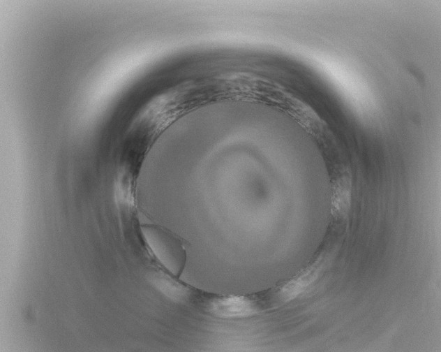 X0000116790431200912241205