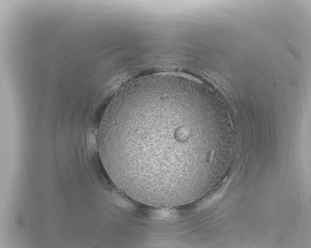 X0000116790432200912241205