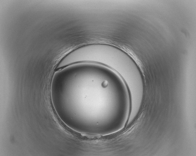 X0000116790433200912241205