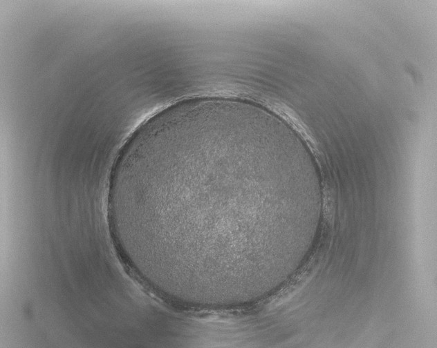 X0000116790434200912241205