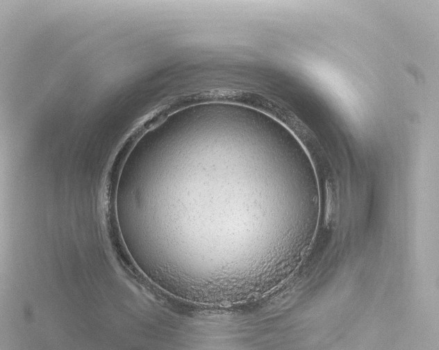 X0000116790435200912241205