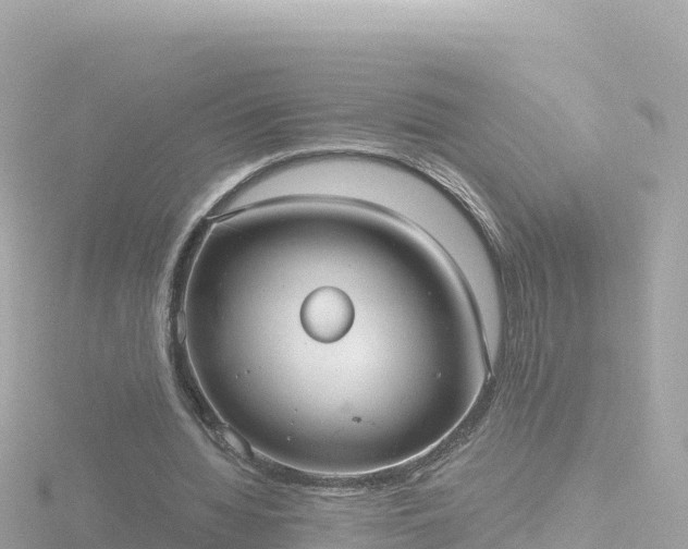 X0000116790436200912241205