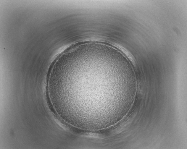 X0000116790437200912241205