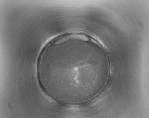 X0000116790438200912241205