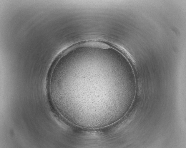 X0000116790439200912241205