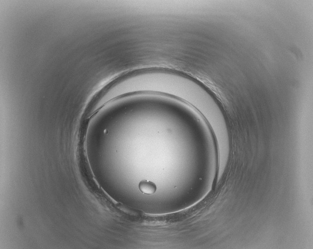 X0000116790440200912241205