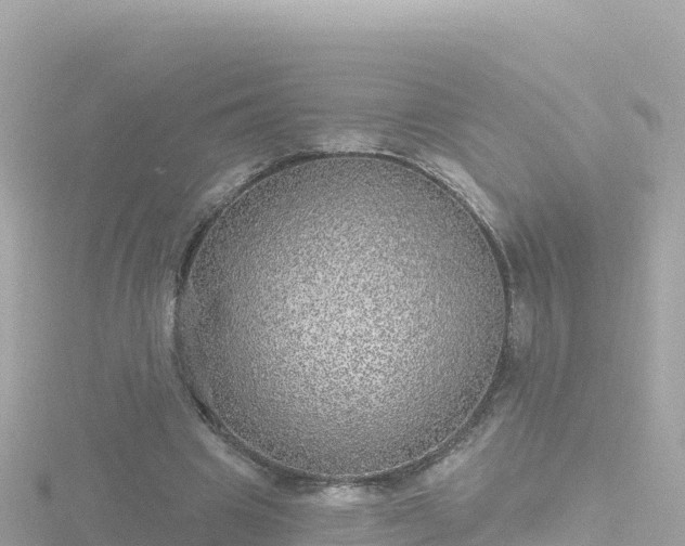 X0000116790441200912241205