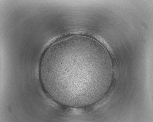 X0000116790442200912241205