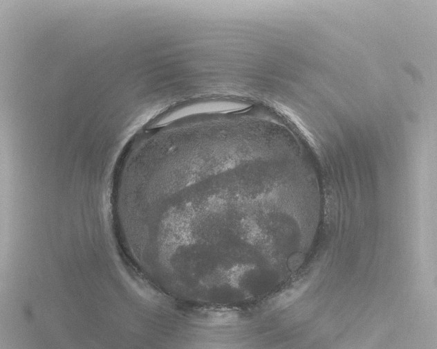 X0000116790443200912241205