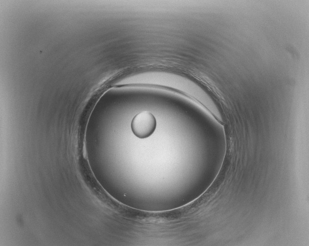 X0000116790444200912241205