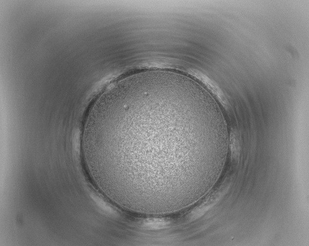 X0000116790445200912241205