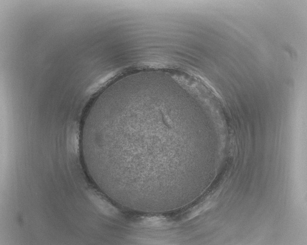 X0000116790446200912241205