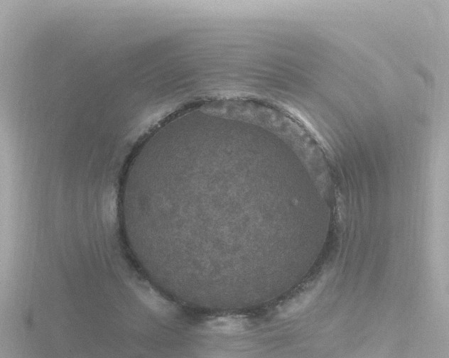 X0000116790447200912241205