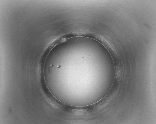 X0000116790448200912241205