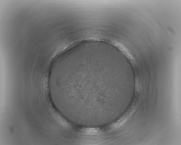 X0000116790449200912241205