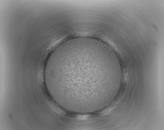 X0000116790450200912241205