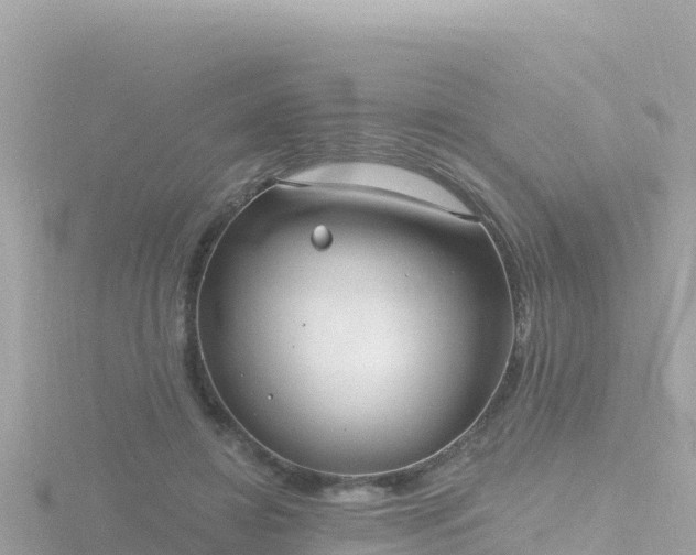 X0000116790452200912241205